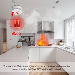 WiFi Graffiti Smart Smoke Alarm